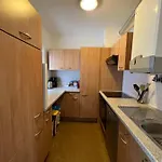 Platell Ferienhausverwaltung Rodelhuis Ferienhaus *