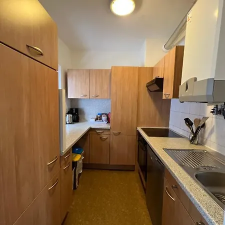 Platell Ferienhausverwaltung Rodelhuis Дом отдыха *