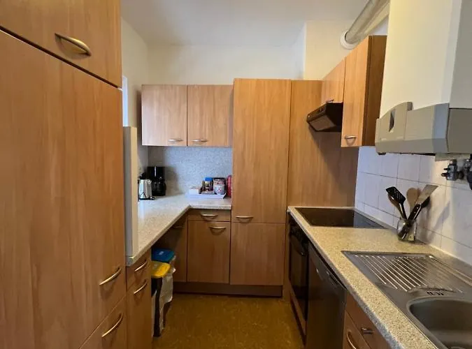 Platell Ferienhausverwaltung Rodelhuis 別荘 *